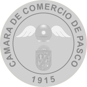 Camara Pasco