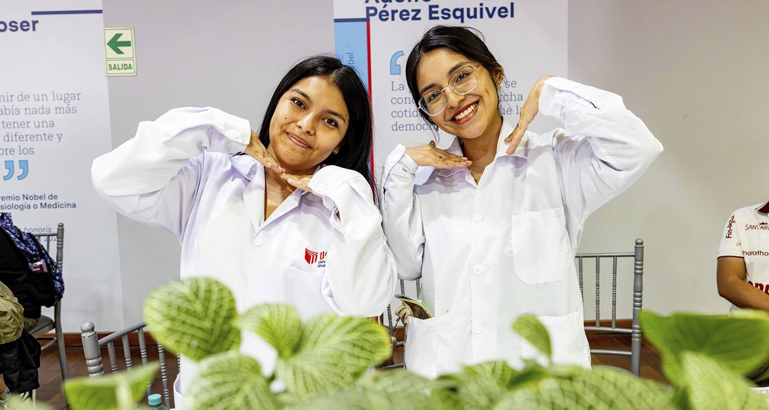 Galería de diapositivas