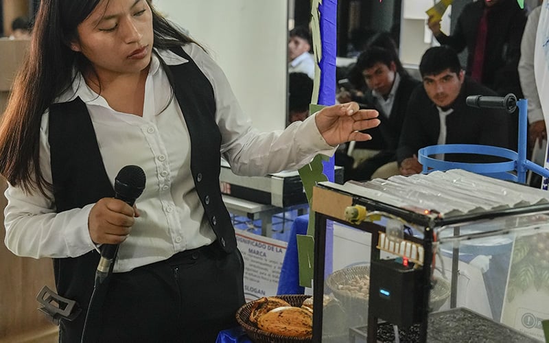 Galería de diapositivas